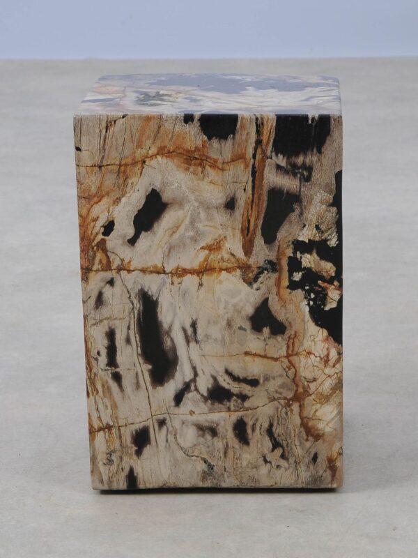 Side table petrified wood 52002