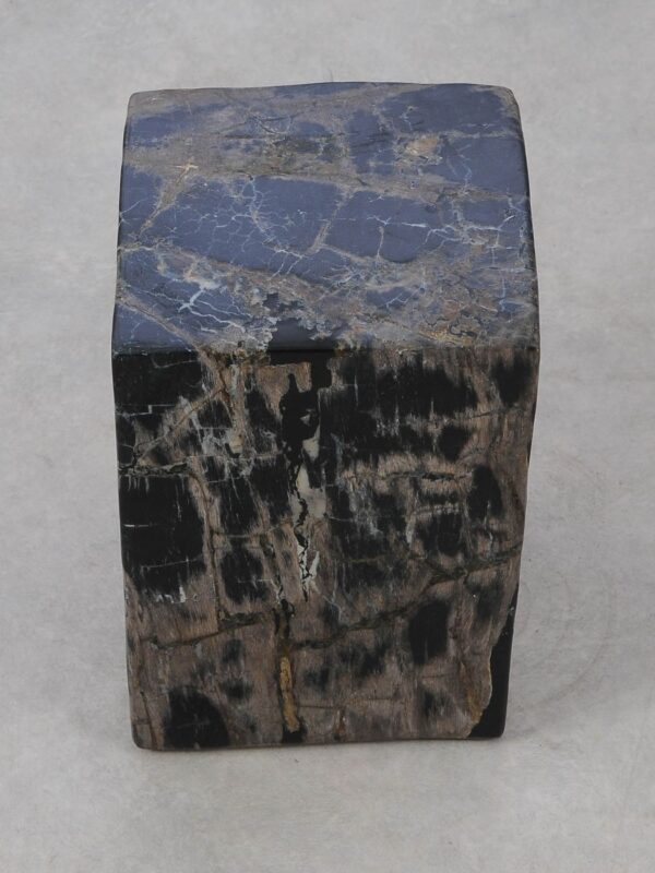 Side table petrified wood 52004