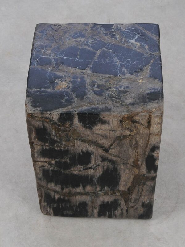 Side table petrified wood 52004