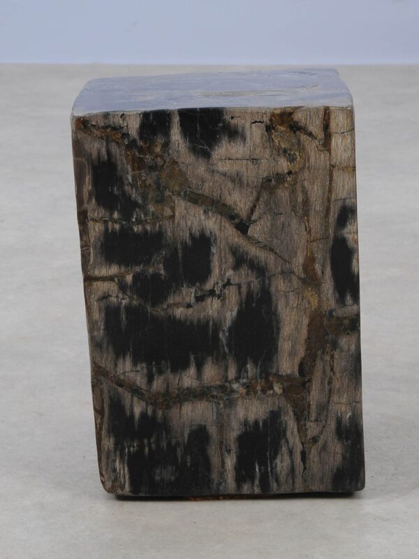 Side table petrified wood 52004