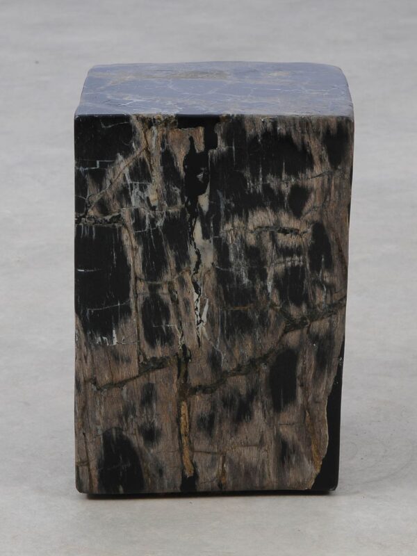 Side table petrified wood 52004