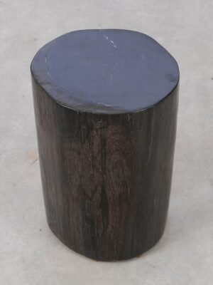 Side table petrified wood 53000