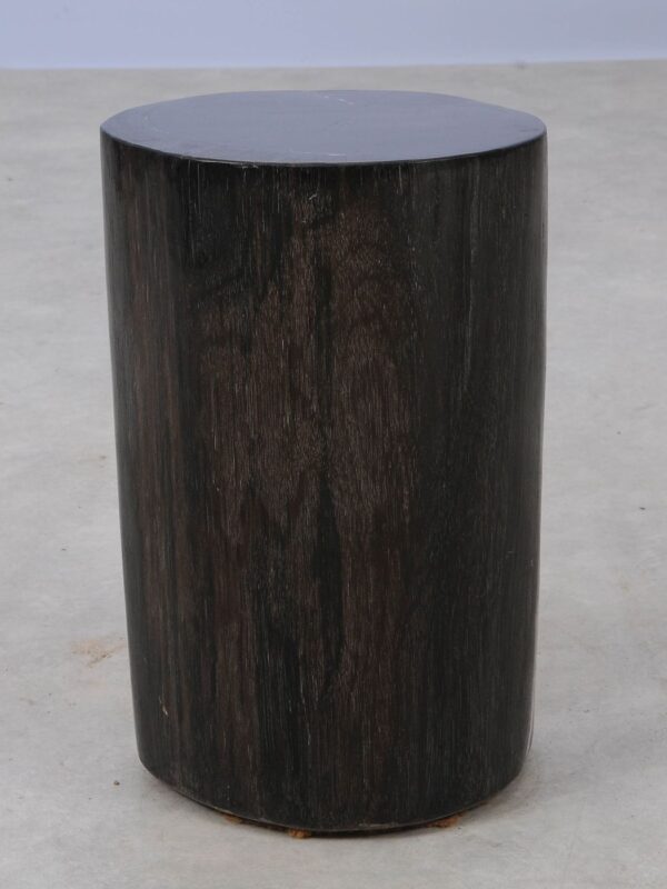 Side table petrified wood 53000