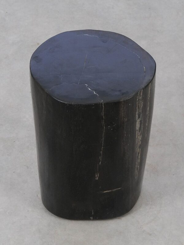 Side table petrified wood 53000