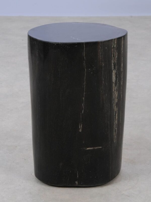 Side table petrified wood 53000