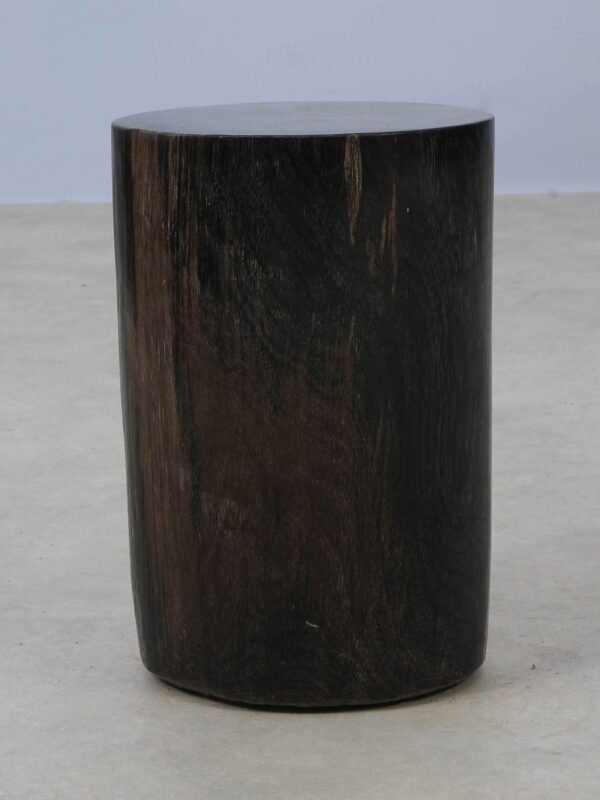 Side table petrified wood 53001