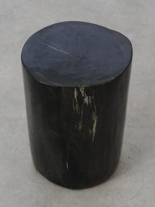 Side table petrified wood 53001