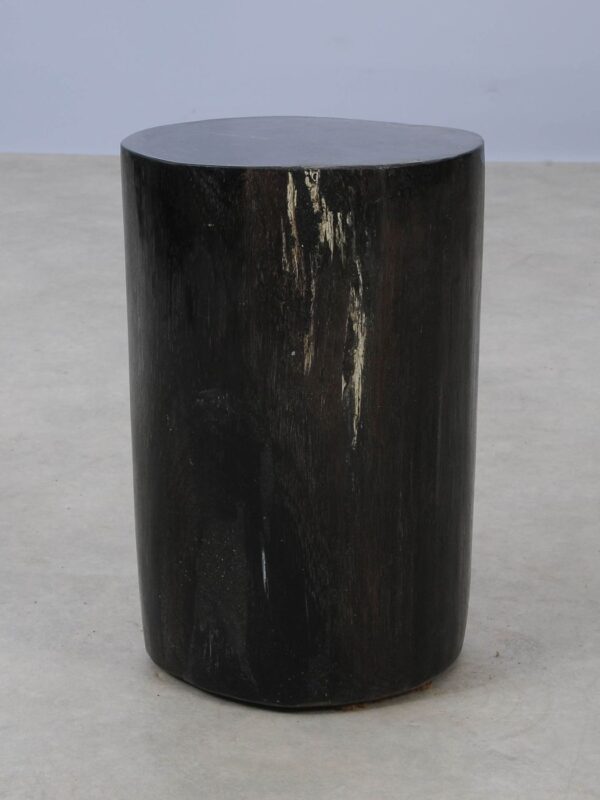 Side table petrified wood 53001