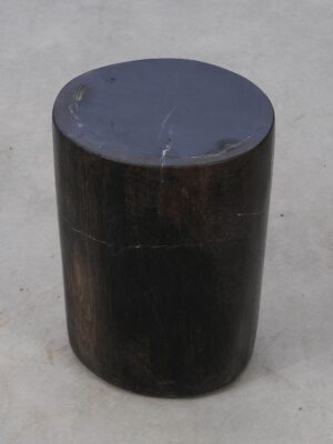 Side table petrified wood 53002