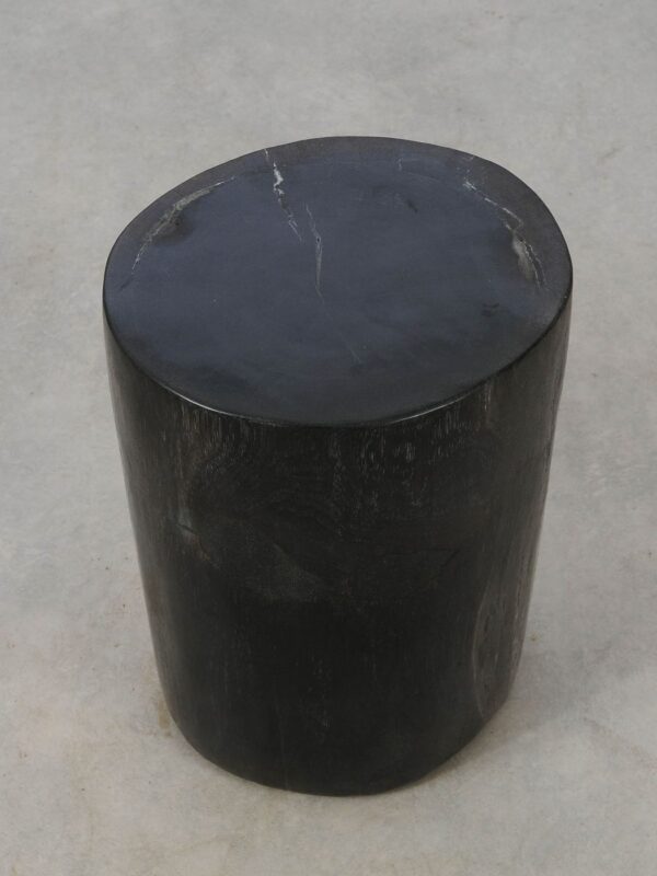 Side table petrified wood 53002