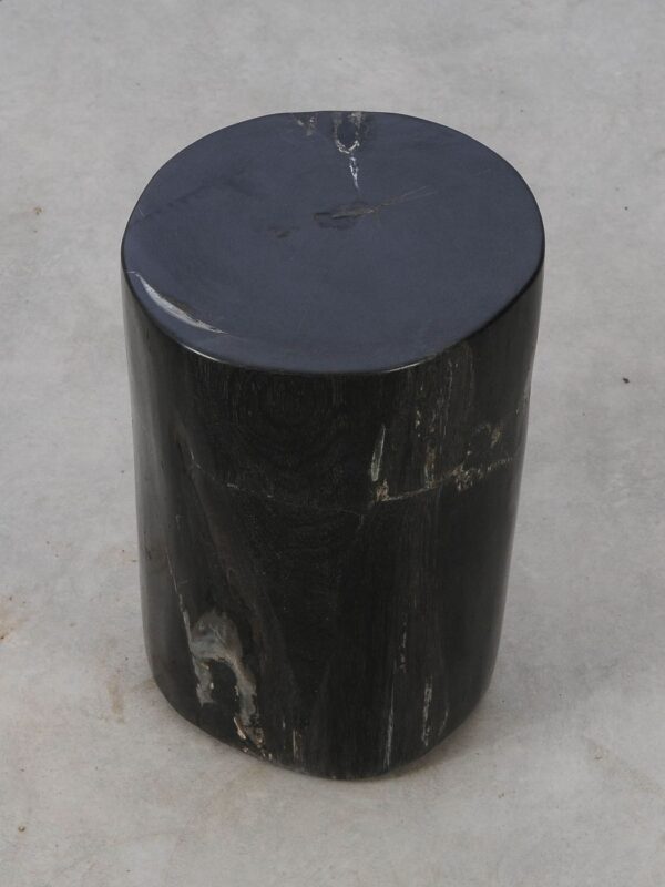 Side table petrified wood 53003