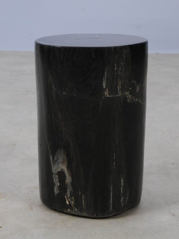 Side table petrified wood 53003