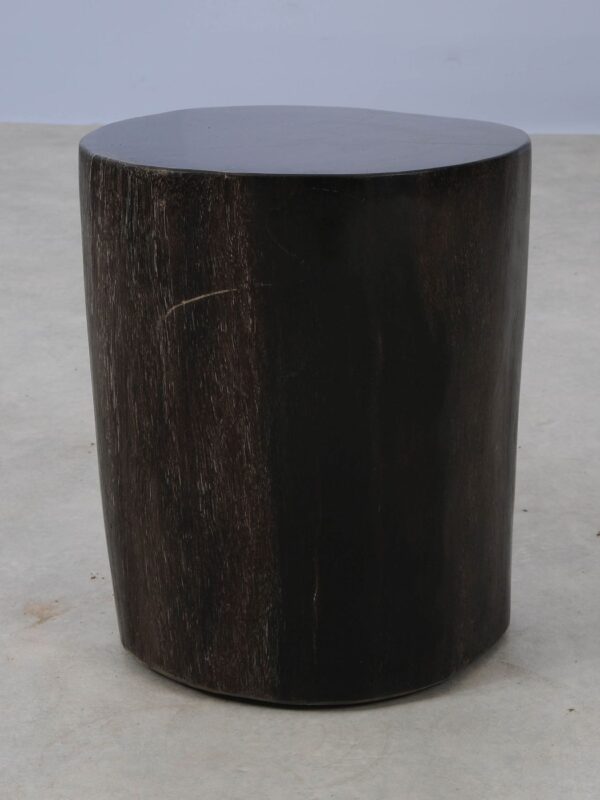 Side table petrified wood 53004