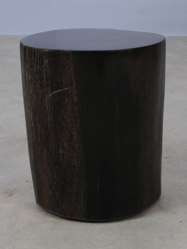 Side table petrified wood 53004