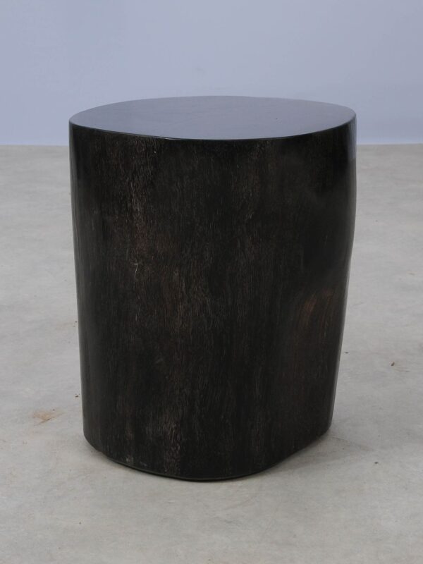 Side table petrified wood 53004