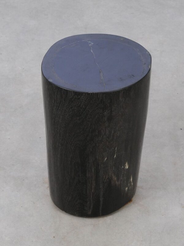 Side table petrified wood 53005