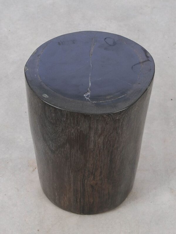 Side table petrified wood 53005