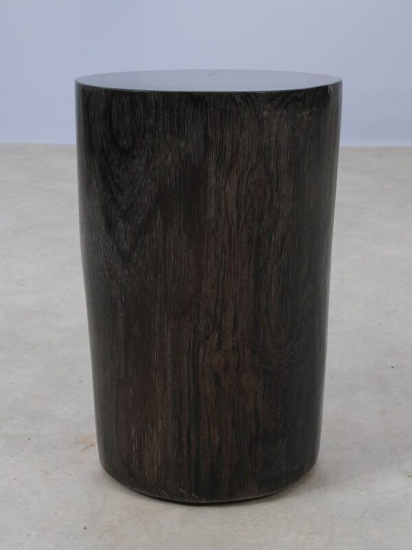 Side table petrified wood 53005