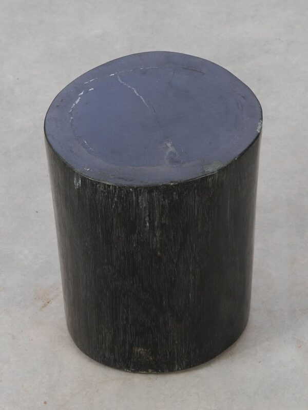 Side table petrified wood 53006