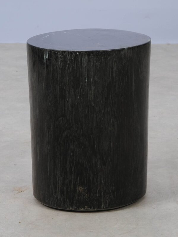 Side table petrified wood 53006