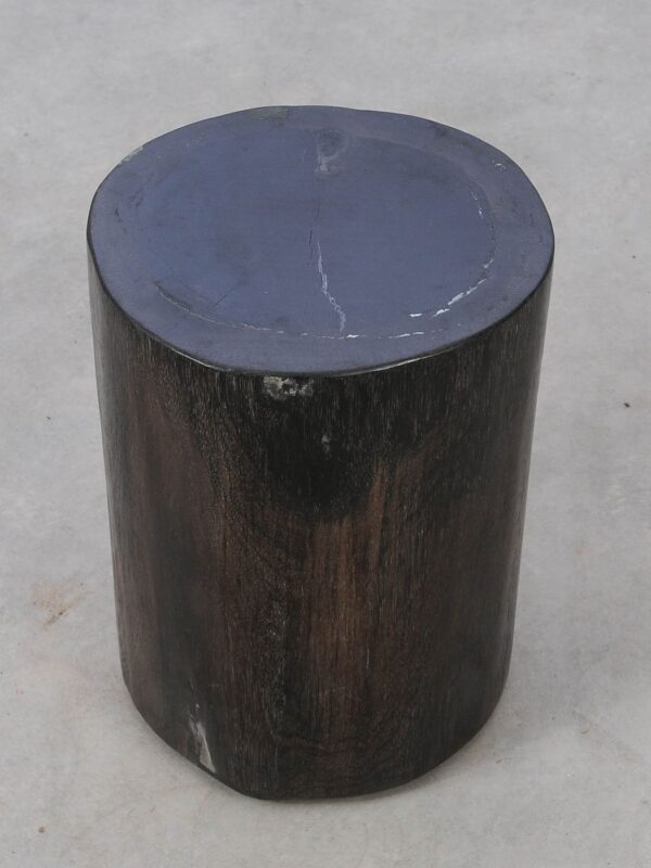 Side table petrified wood 53006