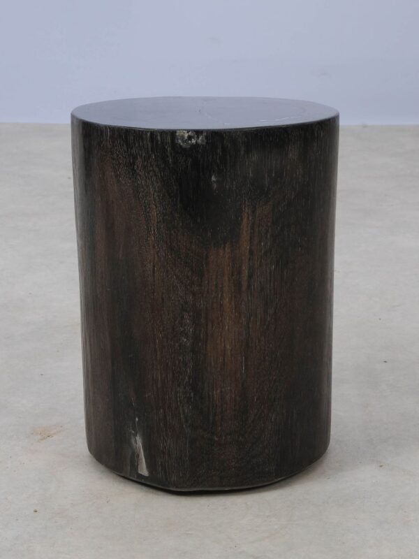 Side table petrified wood 53006