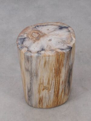 Side table petrified wood 53007