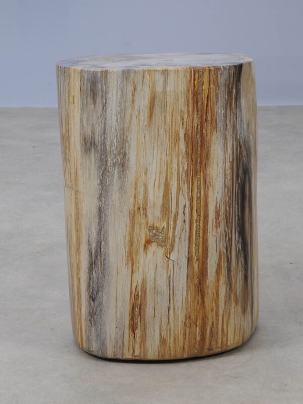 Side table petrified wood 53007