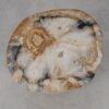Side table petrified wood 53007