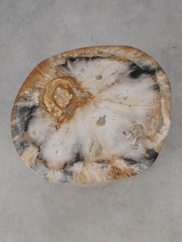 Side table petrified wood 53007