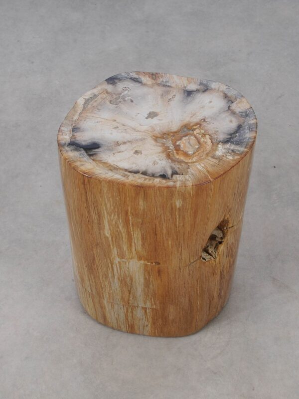 Side table petrified wood 53007