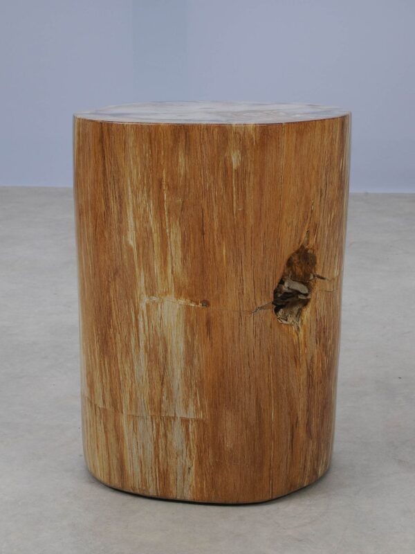 Side table petrified wood 53007