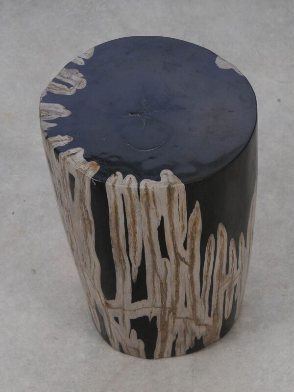 Side table petrified wood 53008