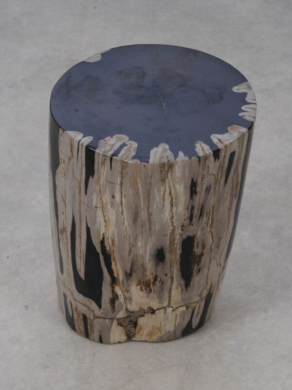 Side table petrified wood 53008