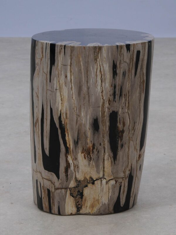 Side table petrified wood 53008