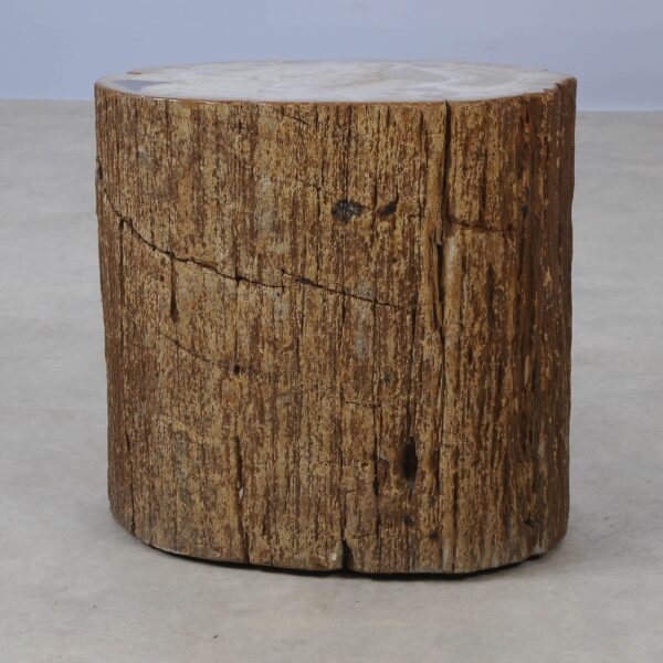 Side table petrified wood 53011