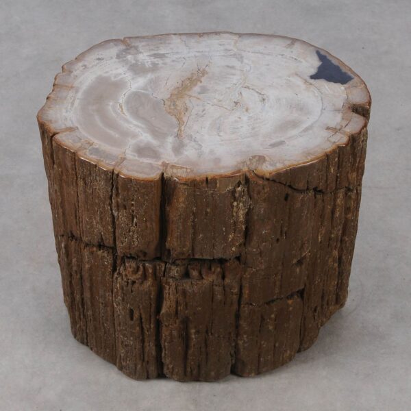 Side table petrified wood 53011