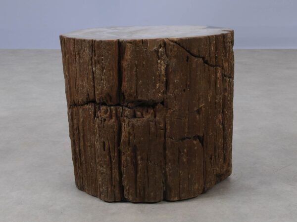 Side table petrified wood 53011