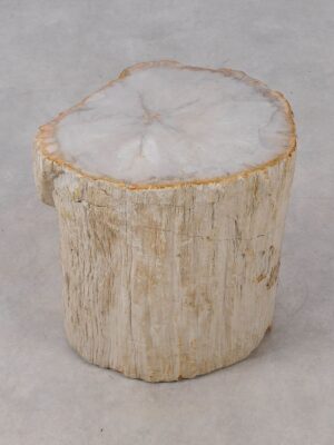 Side table petrified wood 53014