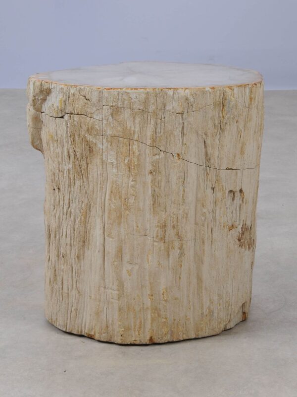 Side table petrified wood 53014