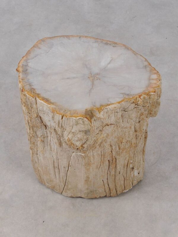 Side table petrified wood 53014