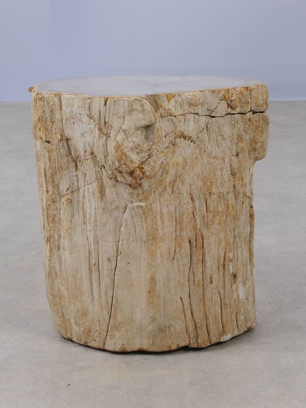 Side table petrified wood 53014