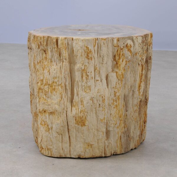 Side table petrified wood 53020