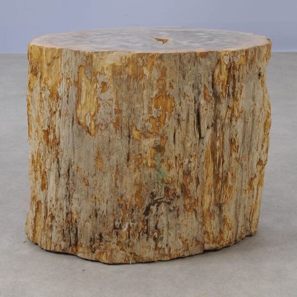 Side table petrified wood 53020