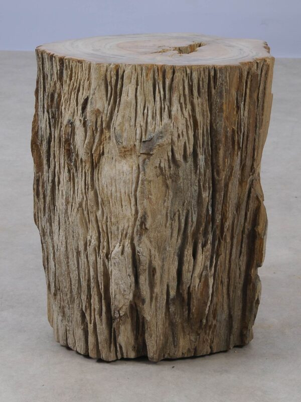 Side table petrified wood 53022