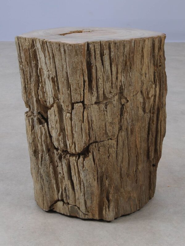 Side table petrified wood 53022