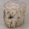 Side table petrified wood 53024