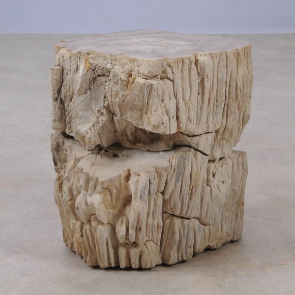 Side table petrified wood 53024