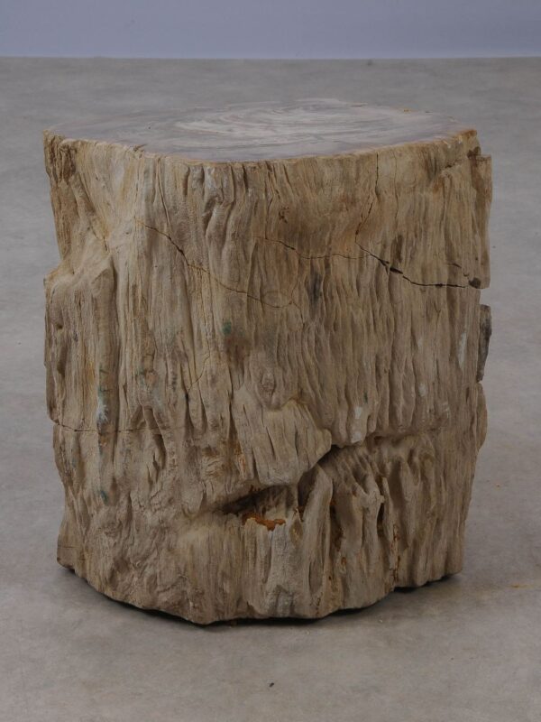 Side table petrified wood 53024