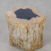 Side table petrified wood 53032